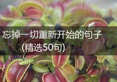 忘掉一切重新开始的句子(精选50句)