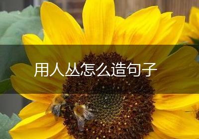 用人丛怎么造句子