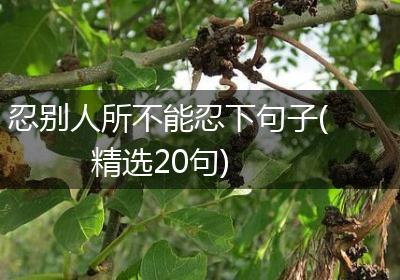 忍别人所不能忍下句子(精选20句)