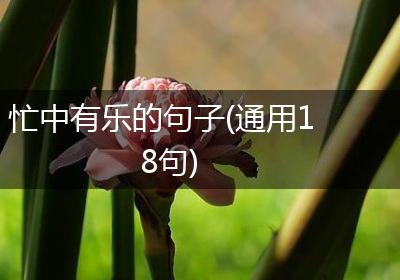 忙中有乐的句子(通用18句)