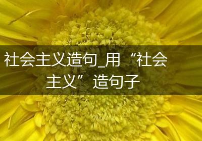 社会主义造句_用“社会主义”造句子
