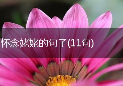 怀念姥姥的句子(11句)