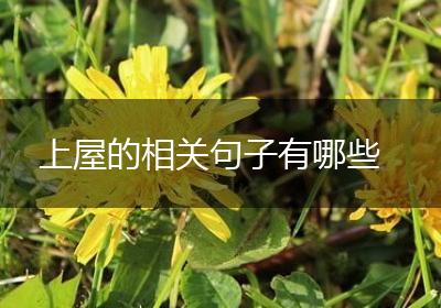 上屋的相关句子有哪些