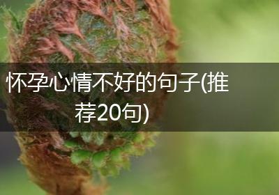 怀孕心情不好的句子(推荐20句)