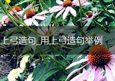 上弓造句_用上弓造句举例