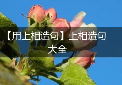 【用上相造句】上相造句大全