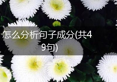 怎么分析句子成分(共49句)