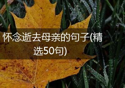 怀念逝去母亲的句子(精选50句)