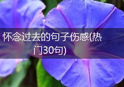 怀念过去的句子伤感(热门30句)