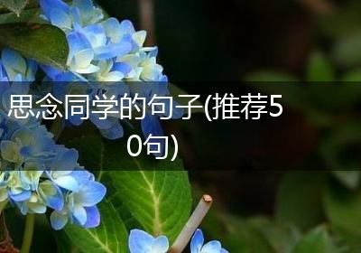 思念同学的句子(推荐50句)