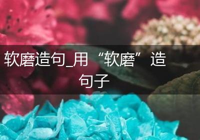 软磨造句_用“软磨”造句子