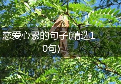 恋爱心累的句子(精选10句)