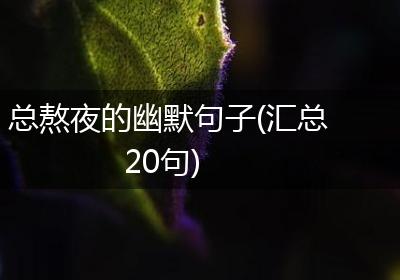 总熬夜的幽默句子(汇总20句)