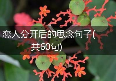 恋人分开后的思念句子(共60句)