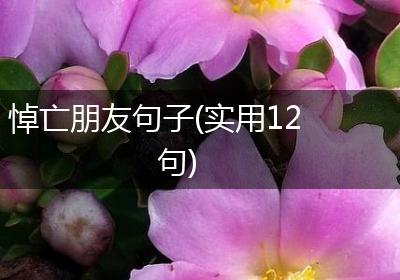 悼亡朋友句子(实用12句)