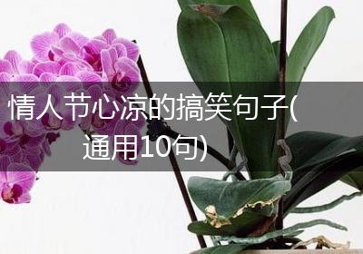 情人节心凉的搞笑句子(通用10句)