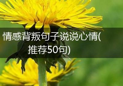 情感背叛句子说说心情(推荐50句)