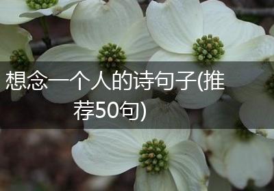 想念一个人的诗句子(推荐50句)