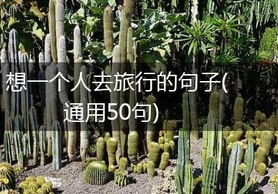 想一个人去旅行的句子(通用50句)