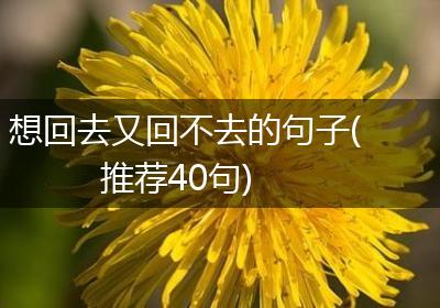 想回去又回不去的句子(推荐40句)