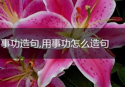 事功造句,用事功怎么造句