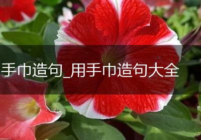 手巾造句_用手巾造句大全