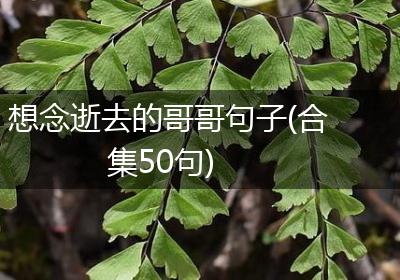 想念逝去的哥哥句子(合集50句)