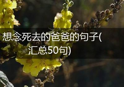 想念死去的爸爸的句子(汇总50句)