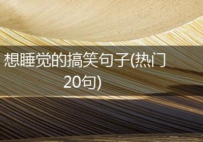 想睡觉的搞笑句子(热门20句)
