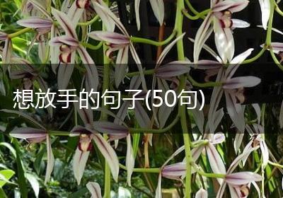 想放手的句子(50句)