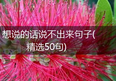 想说的话说不出来句子(精选50句)