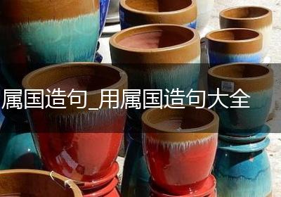 属国造句_用属国造句大全