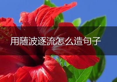 用随波逐流怎么造句子