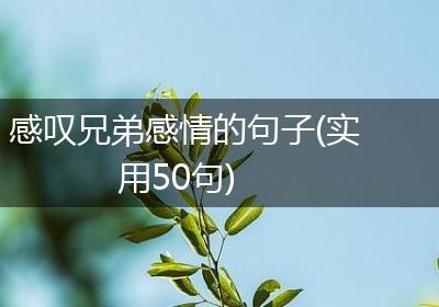 感叹兄弟感情的句子(实用50句)