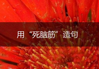 用“死脑筋”造句