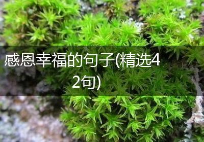 感恩幸福的句子(精选42句)