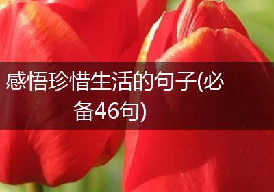 感悟珍惜生活的句子(必备46句)