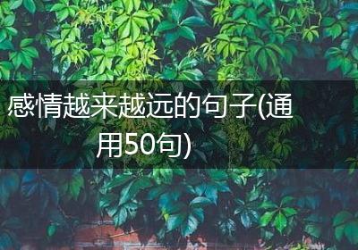 感情越来越远的句子(通用50句)