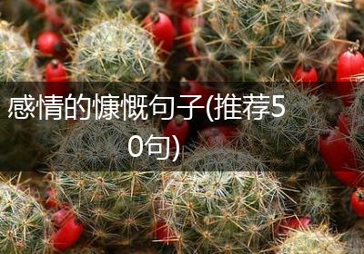 感情的慷慨句子(推荐50句)
