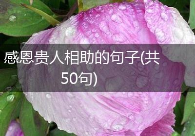 感恩贵人相助的句子(共50句)
