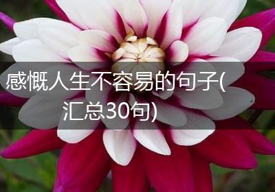 感慨人生不容易的句子(汇总30句)