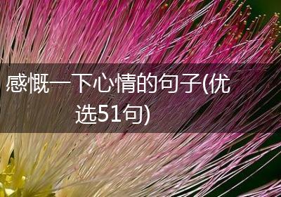 感慨一下心情的句子(优选51句)