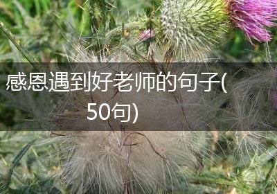 感恩遇到好老师的句子(50句)