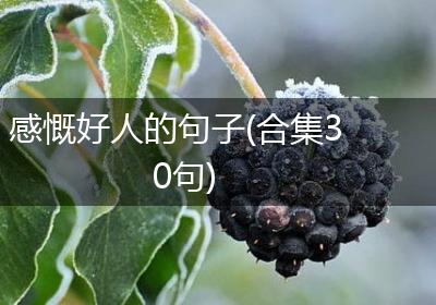 感慨好人的句子(合集30句)