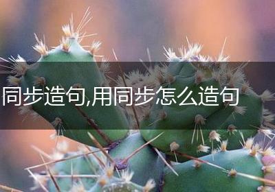 同步造句,用同步怎么造句