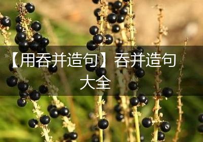 【用吞并造句】吞并造句大全