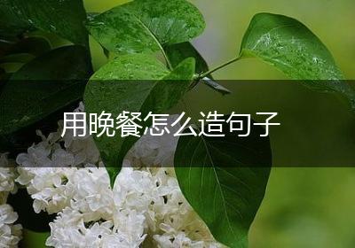 用晚餐怎么造句子