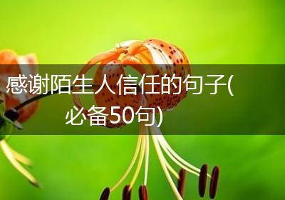 感谢陌生人信任的句子(必备50句)