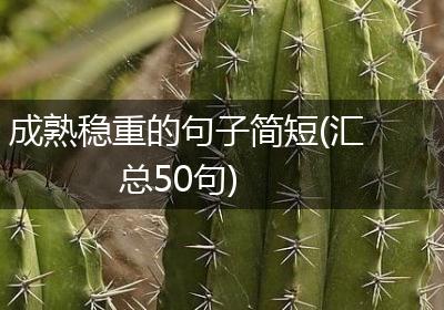 成熟稳重的句子简短(汇总50句)