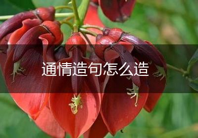 通情造句怎么造